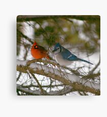 Winter Birds Canvas Print