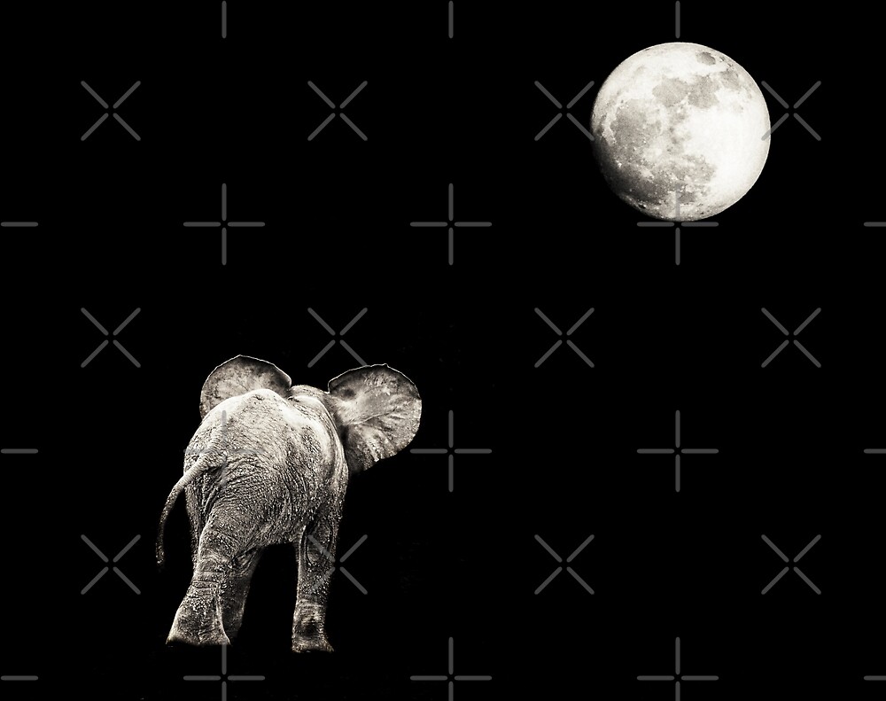 Monochrome Black And White Series Baby Elephant And The Moon By Audrey Kruger Redbubble
