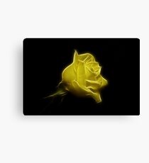 Yellow Rose Canvas Print