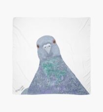 Rock Dove Pigeon Bird Scarf