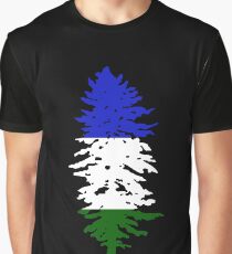 Dekonstruierte kaskadische Flagge Grafik T-Shirt