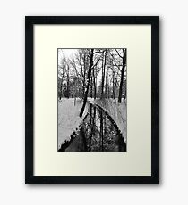 Coldness Framed Print