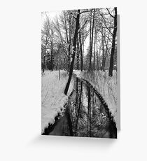 Coldness Greeting Card