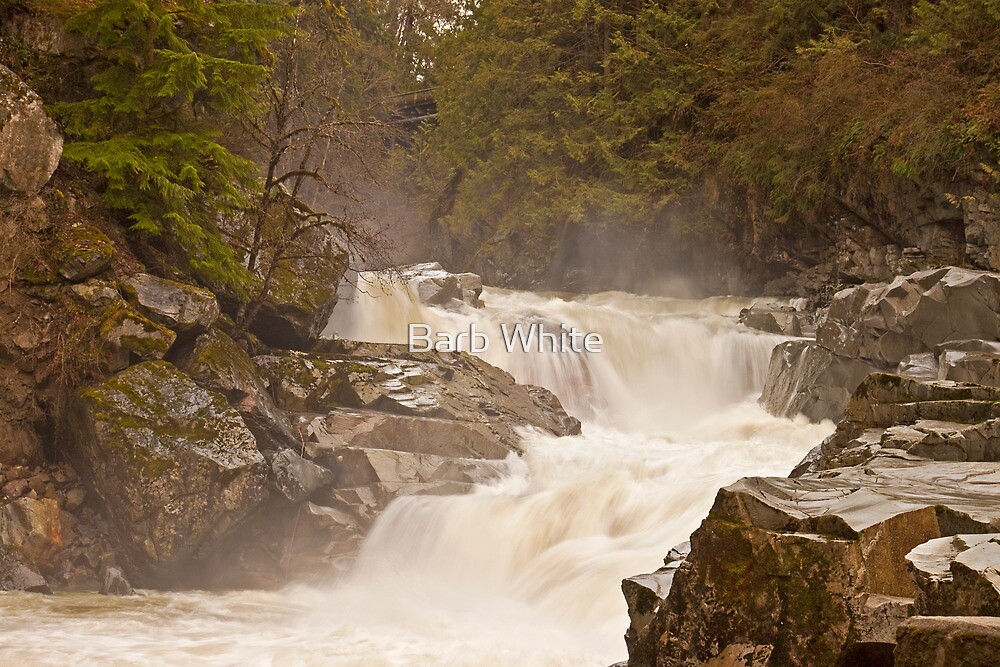 "Frothy Granite Falls (Washington State)" by Barb White Redbubble