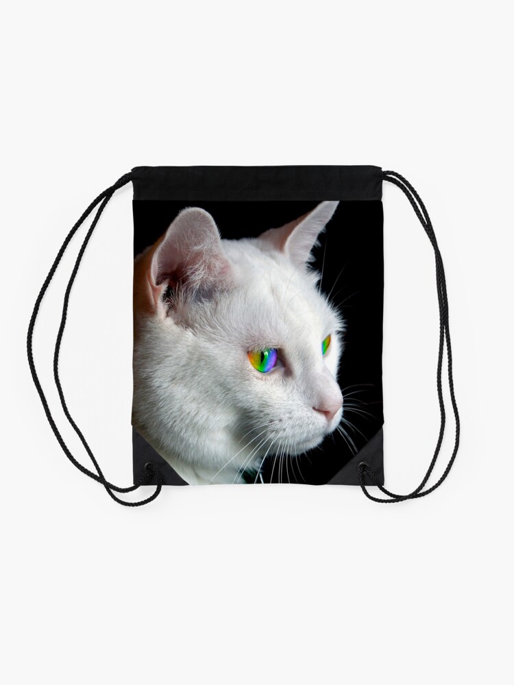 Alternate view of Pride Cat’s Eyes Drawstring Bag