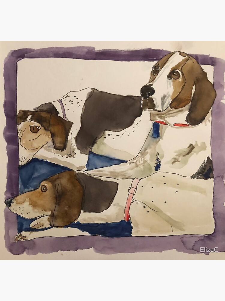 Sam and Friends by ElizaC