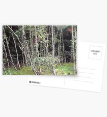 Forest near Loch Ness Postcards