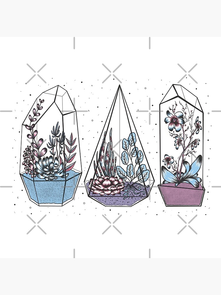 Terrariums by heycollie