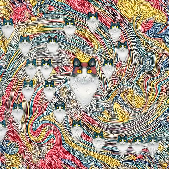 Abstract fibonacci cats