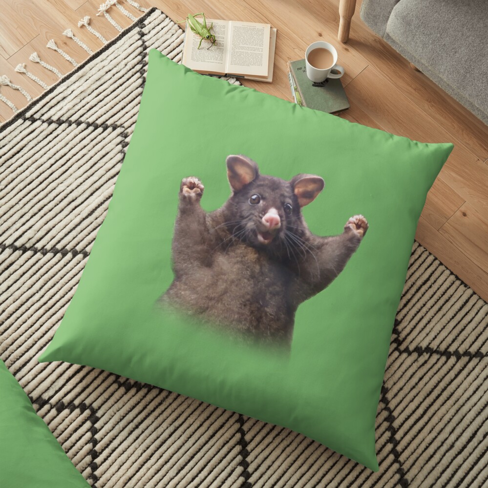 possum pillow pet