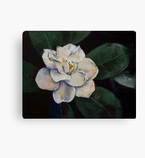Gardenia Oil Painting Canvas Print