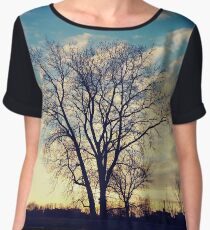 #Sunrise #tree #landscape #nature #wood #fog #leaf #bright #outdoors #weather #horizontal #colorimage #sunrisedawn #nopeople #sun #sunny #day #ruralscene #solitude #remote #loneliness Chiffon Top