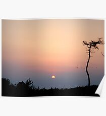 Tranquillity Poster