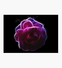 Glowing Rose Photographic Print