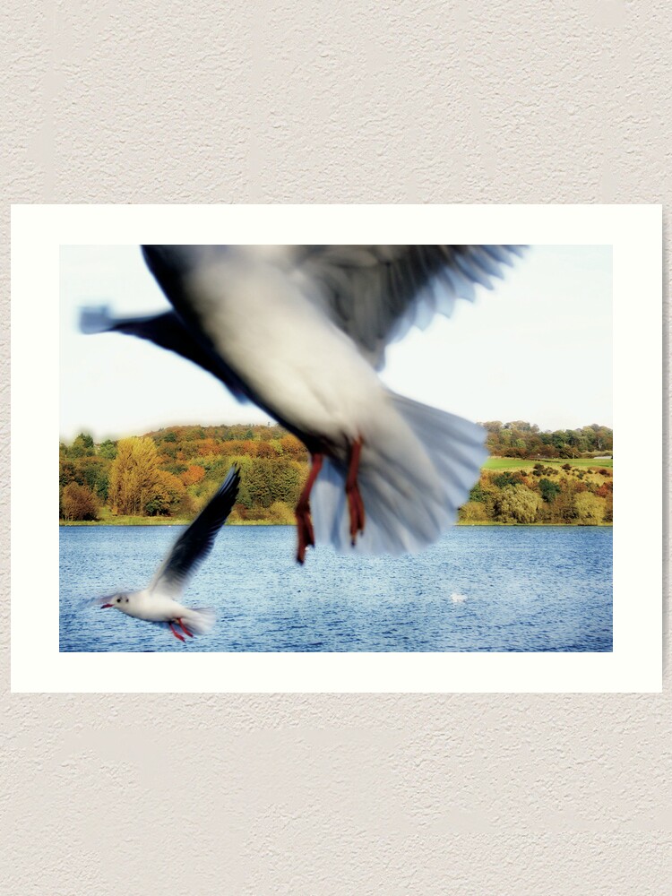 Alternate view of The Birds Art Print