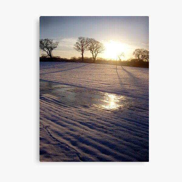 Dalmeny Winter Sun Canvas Print