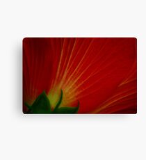 Orange Macro Canvas Print