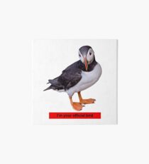 I'm your official bird Art Board