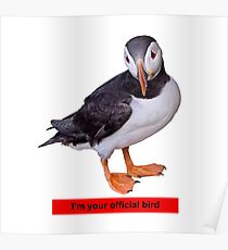I'm your official bird Poster