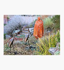 Garden Sculptures on Canyon Road Photographic Print