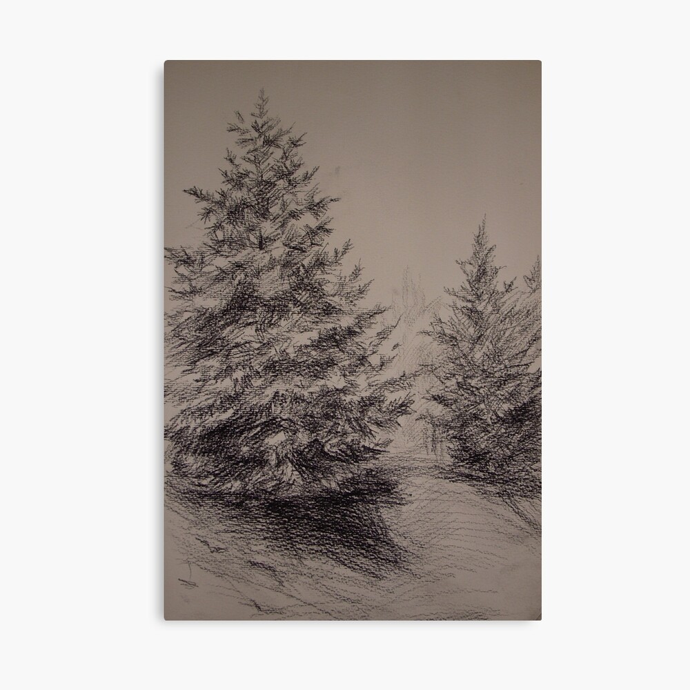 Two Spruces Canvas Print