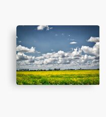 Sommerlandschaft, Norfolk Leinwanddruck