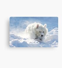 Westie in the snow Metal Print