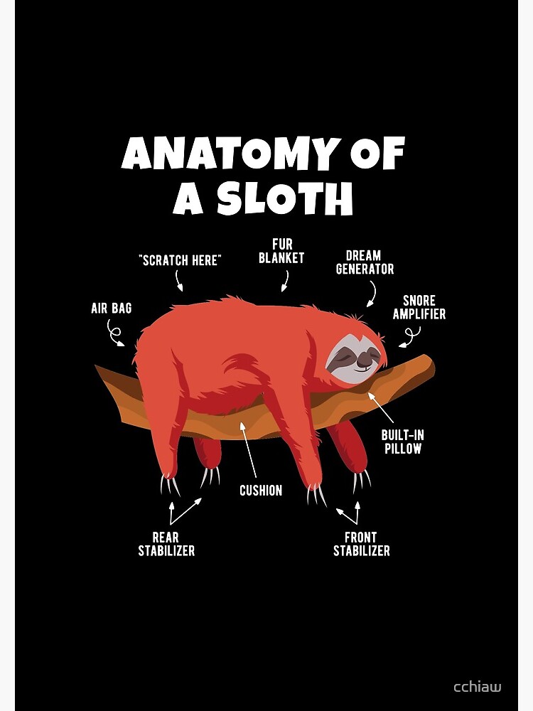 "Anatomy of a Sloth" Spiral Notebook by cchiaw | Redbubble