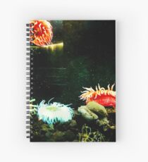 A Feel for the Ocean Spiral Notebook