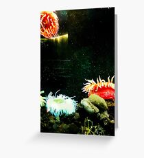 A Feel for the Ocean Greeting Card