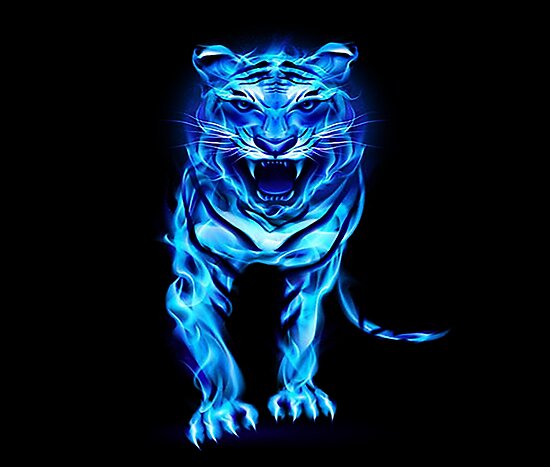 "Blue Fire Tiger" Posters by leen12 | Redbubble