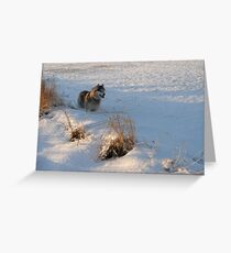 I'm in a rut Greeting Card