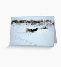Push! Greeting Card