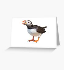 Puffin with big tongue Greeting Card