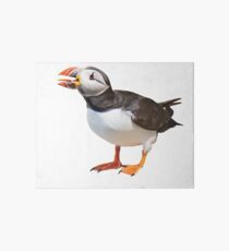 Puffin with big tongue Art Board