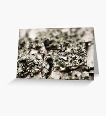 Moss on a Tree Greeting Card