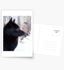Schippy in the Snow Postcards
