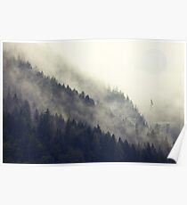 Waldmond Poster