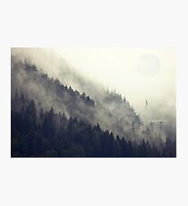 Forest Moon Photographic Print