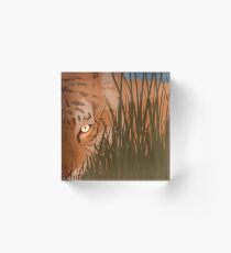 grr Acrylic Block