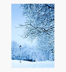 Narnia?! Photographic Print