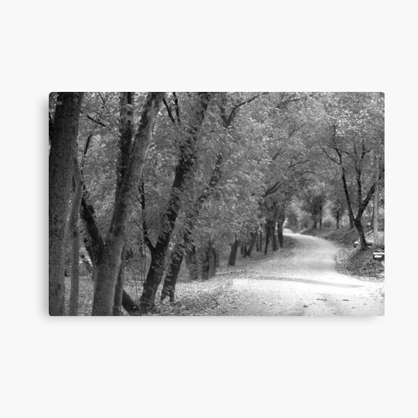 River Road Canvas Print