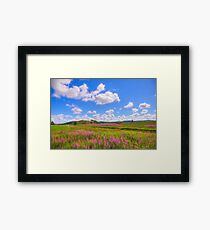 Mid-Summer Framed Print