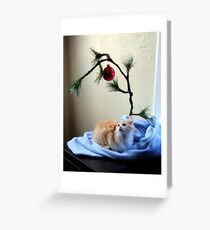 Christmas Kitty Greeting Card