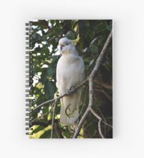 Sulphur Spiral Notebook