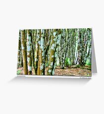 Sassafras Greeting Card