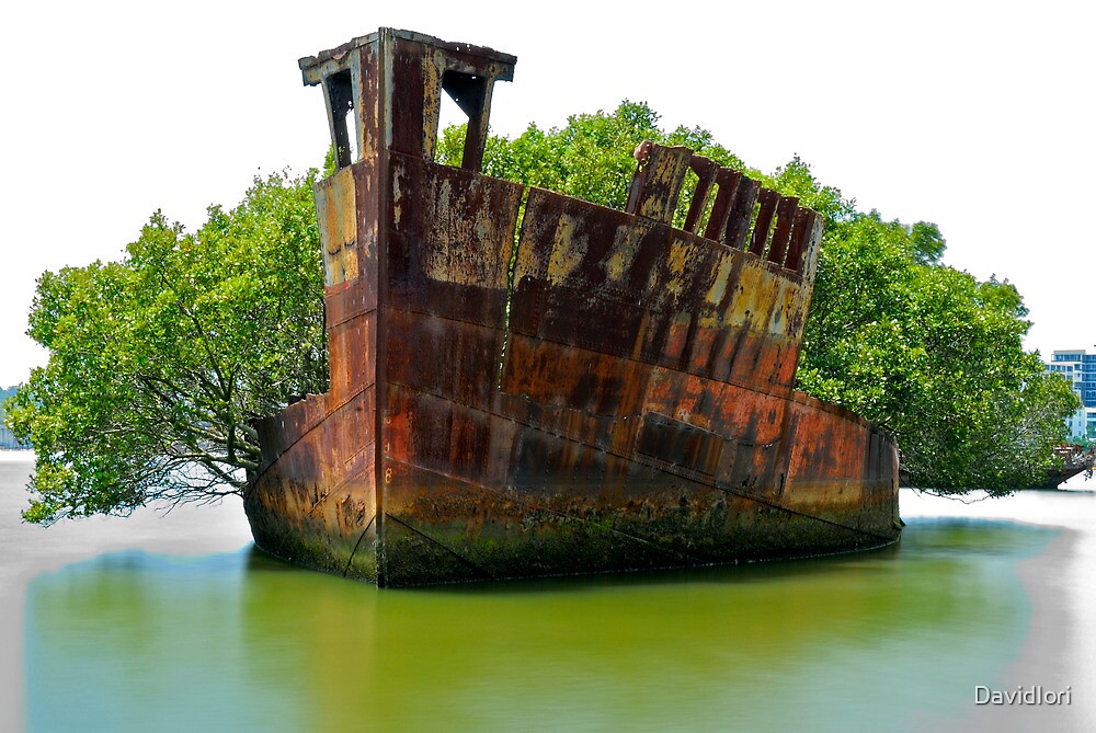 “SS Ayrfield Mariner’s Cove Homebush Bay Shipwreck” by DavidIori