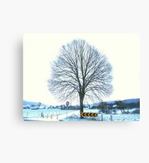 In highkey Canvas Print