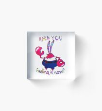 Are You Feeling It Now Acrylic Block