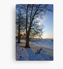 Britains Big Freeze-Snowy field at Dusk Canvas Print